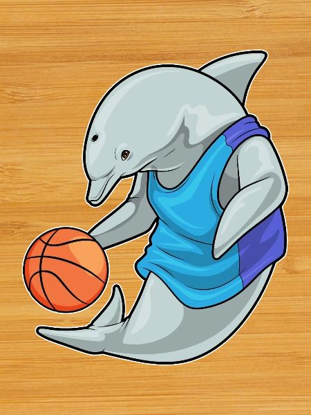 Dolphin Basketteur Basketteur