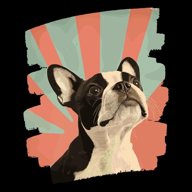 Boston Terrier