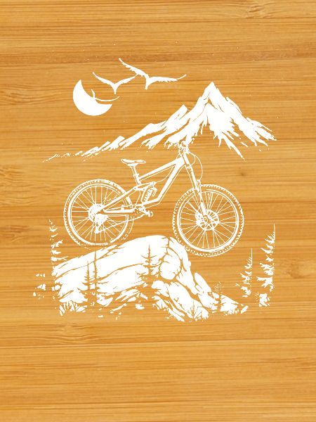Amateurs de VTT
