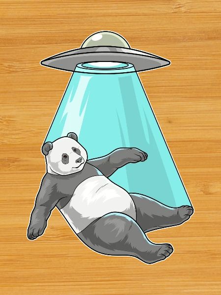 Vaisseau spatial Panda Space