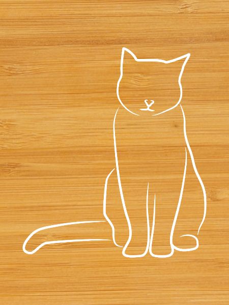 Cat Sketch
