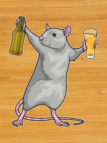 Rat Bouteille de bière