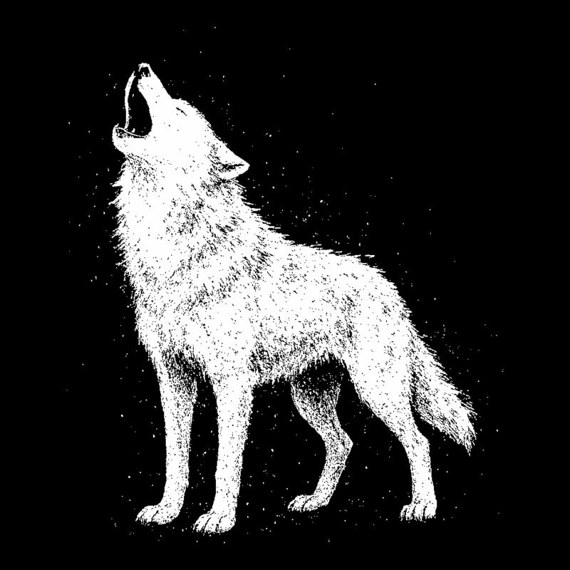 Hurlement de loup