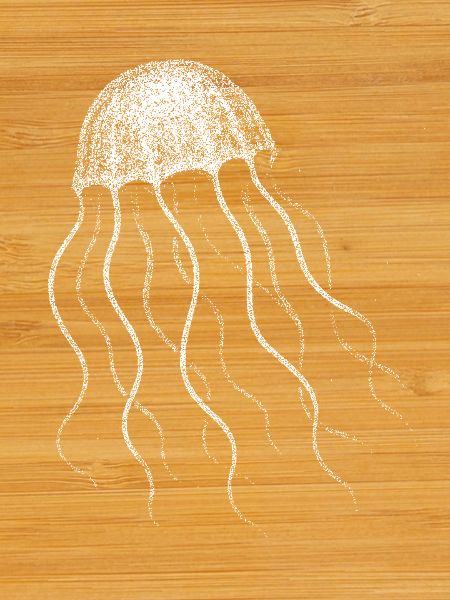 Jellyfish