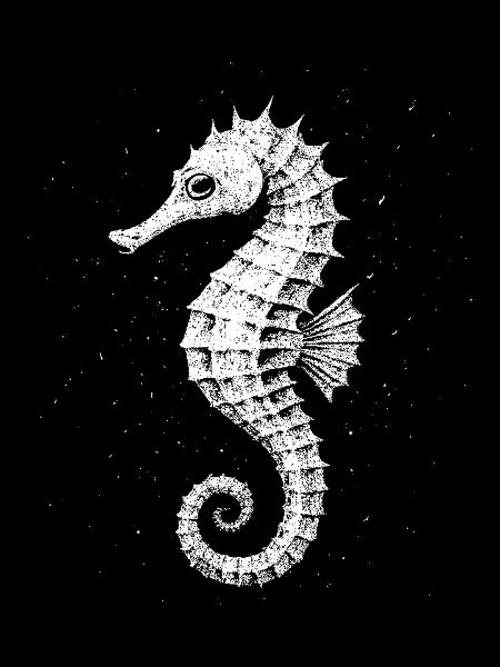 Hippocampe