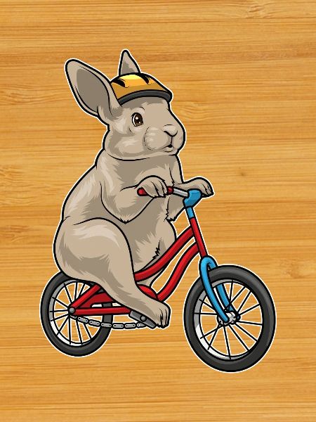 Rabbit Bike