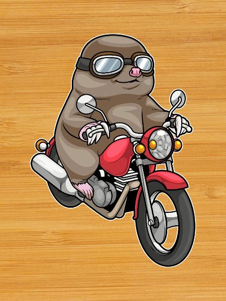 Mole Motorcycle