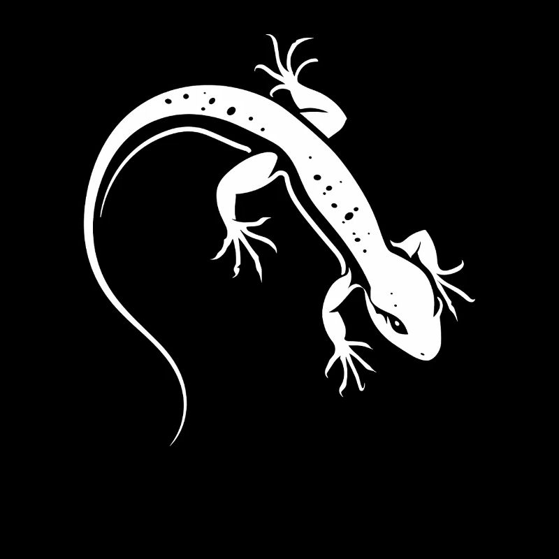 Lizard Silhouette Contrasting Salamander