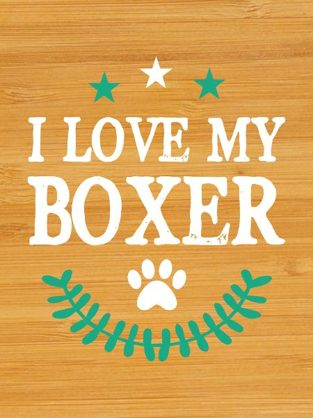I love my Boxer