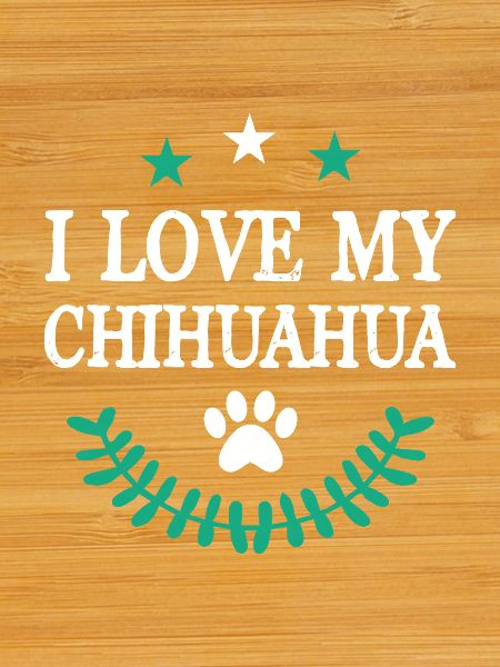 Chihuahua