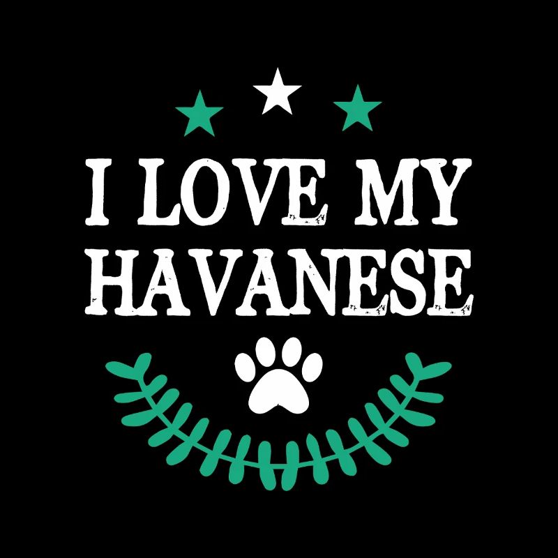 Havaneser