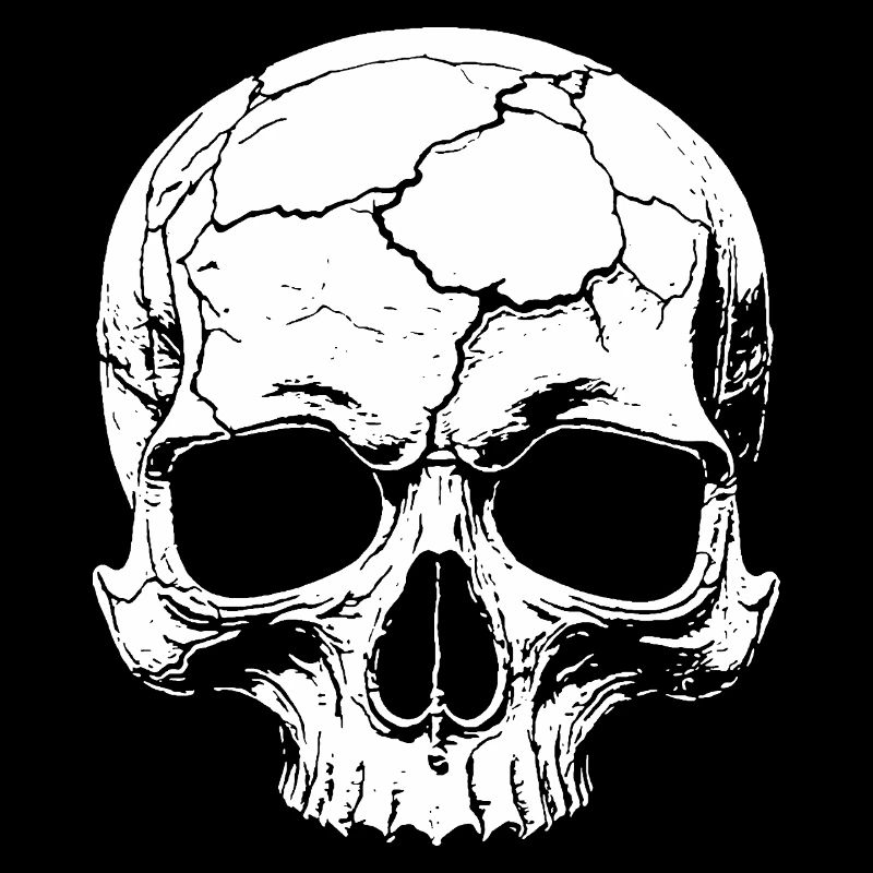 Abstract skull with cracks