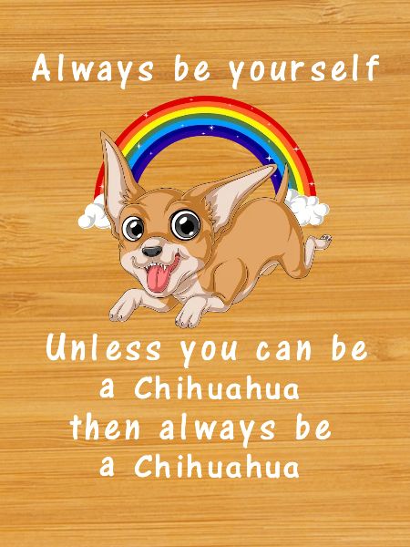 Chihuahua