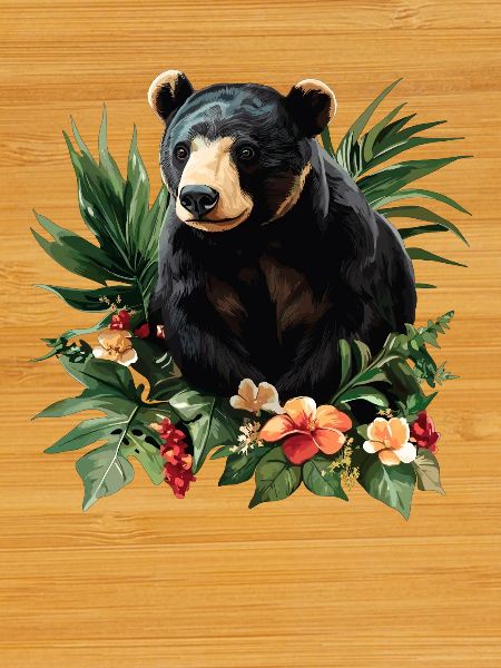 Sun Bear Malaienbär