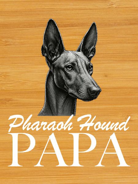 Papa chien pharaon