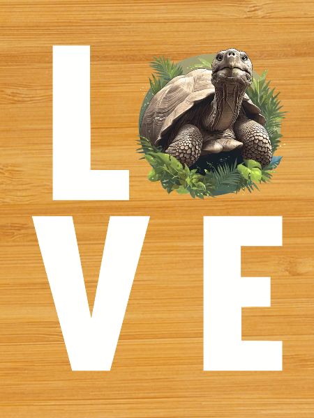 Tortoises Tortoise
