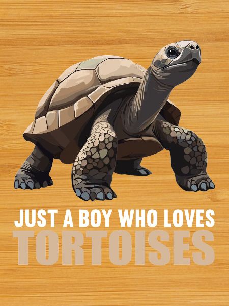Tortoises Tortoise