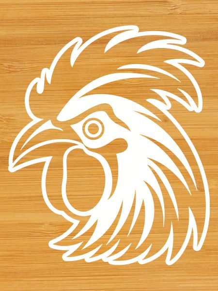 Rooster Animal