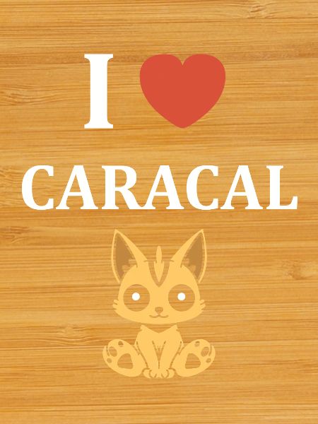 J’aime le Caracal
