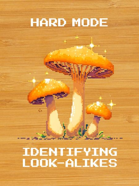 Hard Mode: Determining Doppelgangers | Fungi