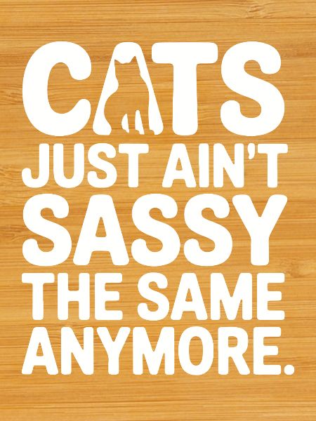 Cats Ain't Sassy Anymore