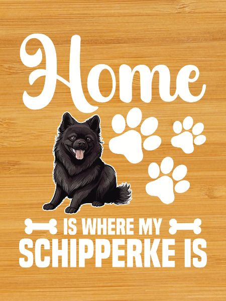 At home is my Schipperke