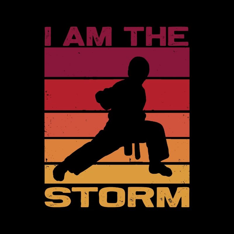Silhouette a karate fighter - Combat Contact