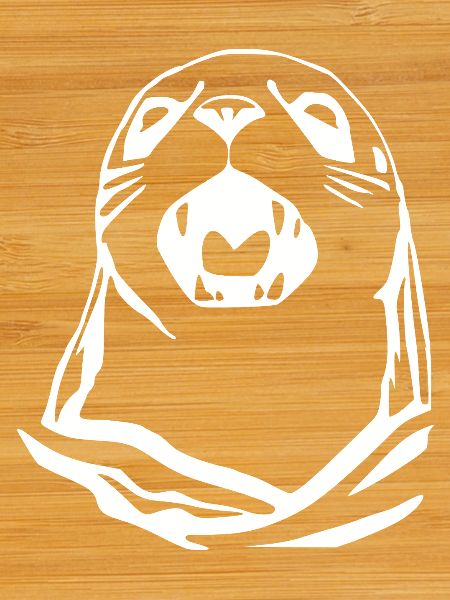 Seal Seal T-shirt Gift