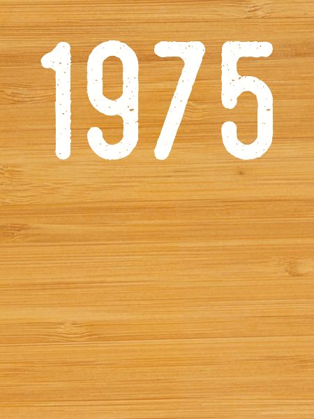 Awesome since 1975 | 1975 Gift
