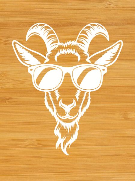Goat with sunglasses