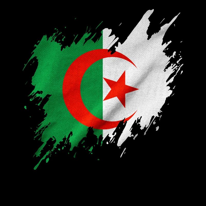 Algeria flag, torn style