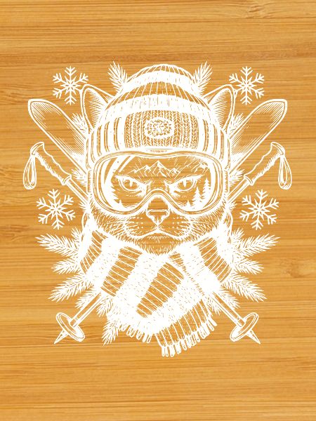 Ski chat Illustration Ski