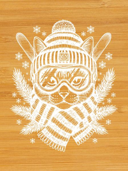 Skiing Cat Winter Fun Ski