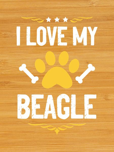 I love my Beagle