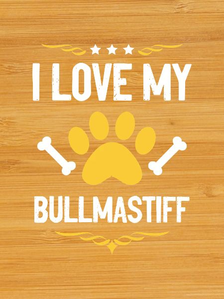 J’adore Bullmastiff