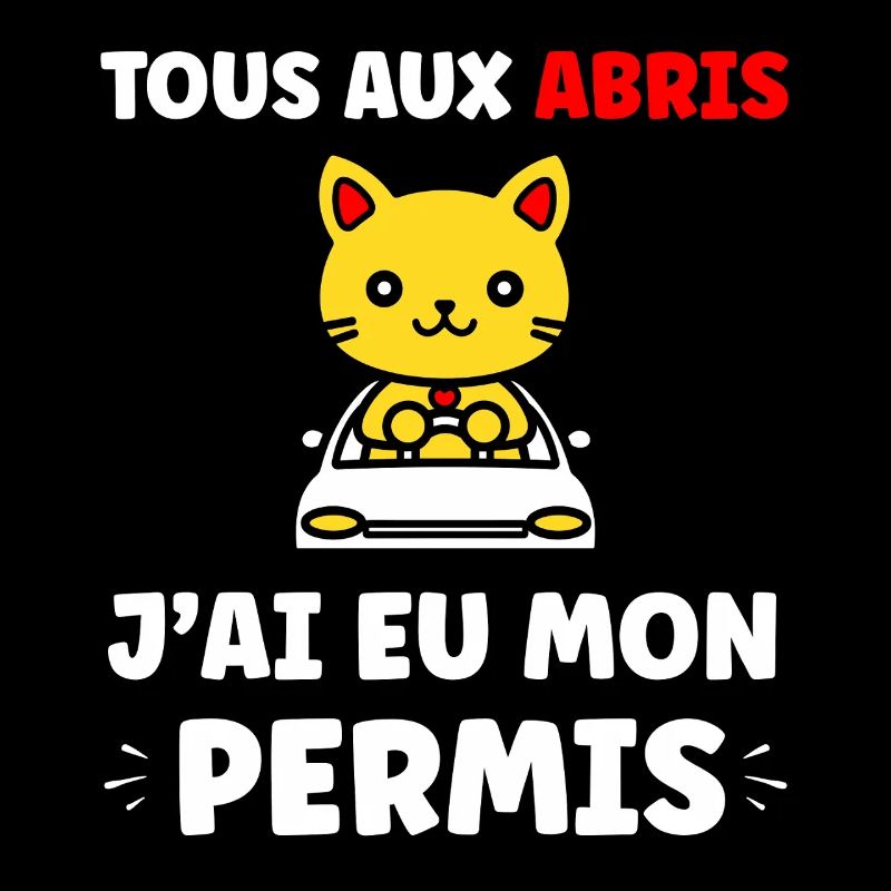 Young Driver, Young Driver, Driver's License