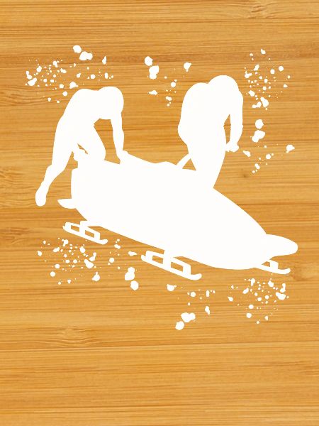 Bobsleigh Bobsleigh à deux