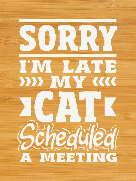 Sorry I'm late.