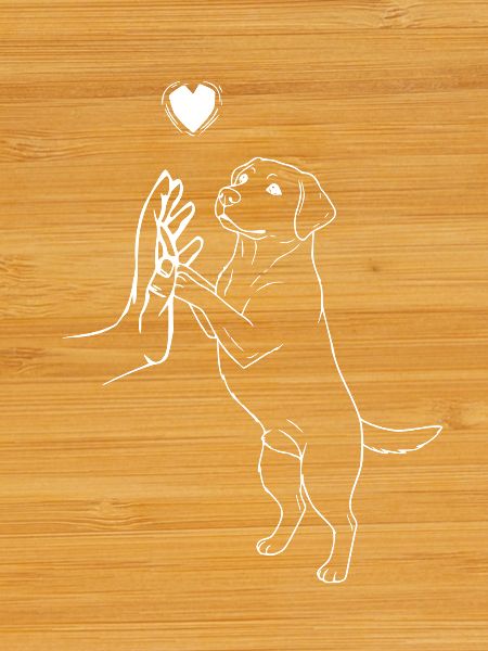 Labrador Retriever Lover Dog