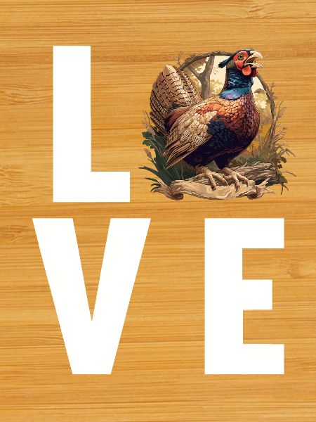 Pheasants Pheasant