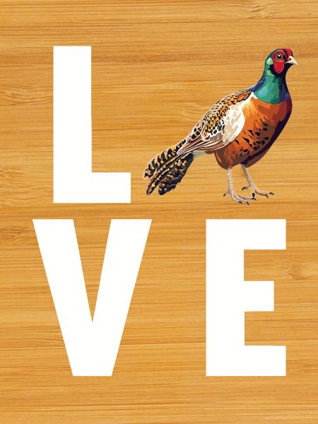 Pheasants Pheasant