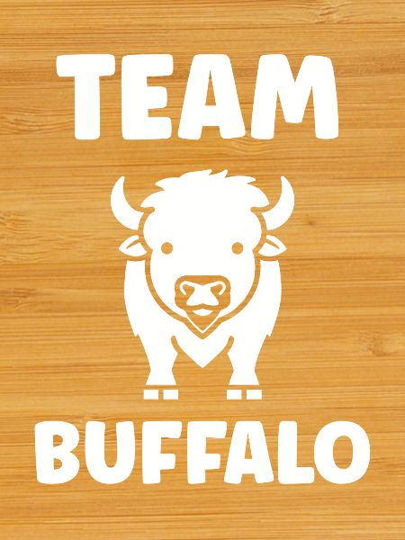 Bison