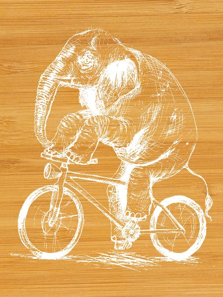 Éléphant à vélo