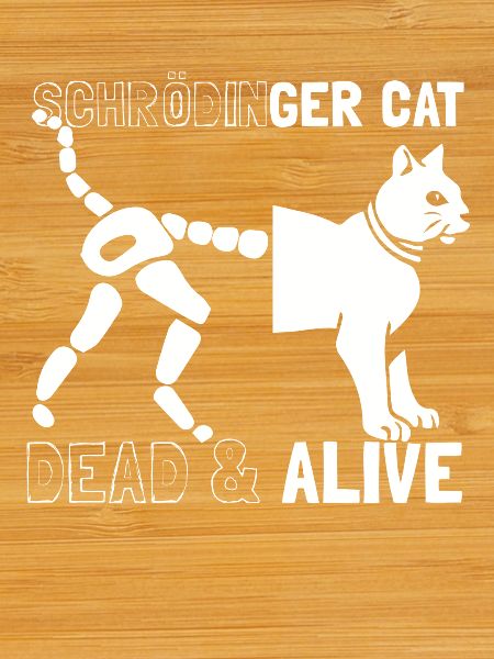 Le chat de Schrödinger