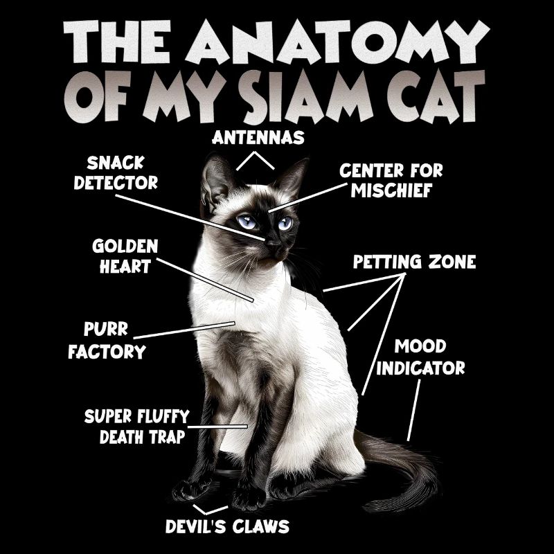 Siamese Cats Gift for Cat Lovers Cat Mom