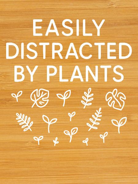 Easily Distracted By Plants Leaves