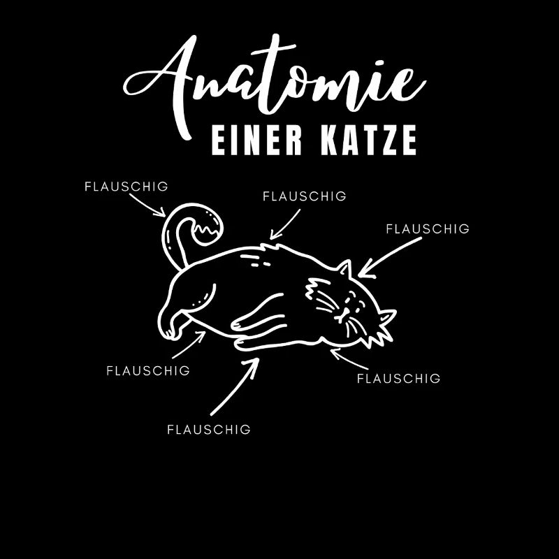 Anatomie einer Katze – alles flauschig