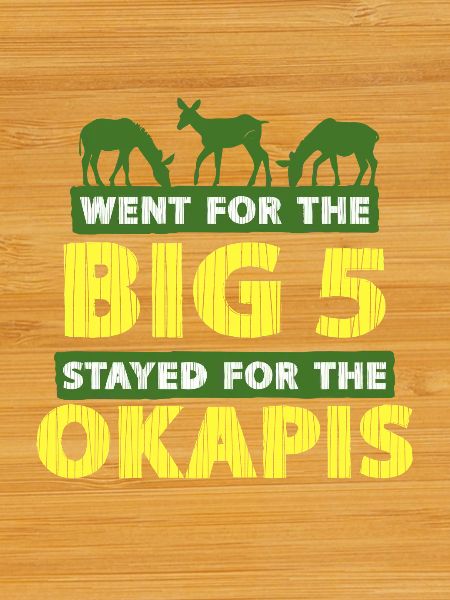 Okapi Animal