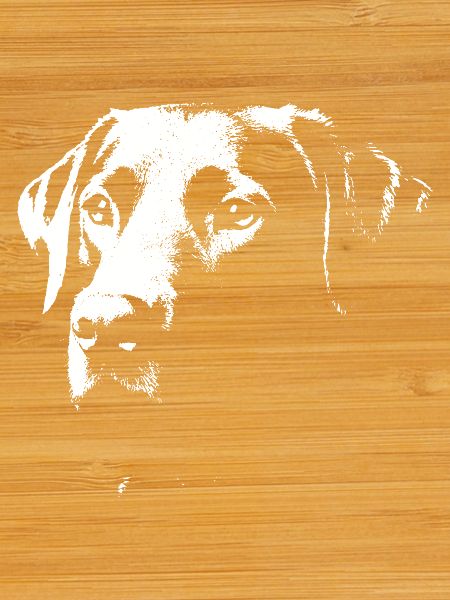 Stylish Labrador design