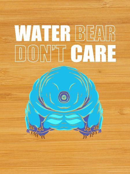 Tardigrade Tardigrade Tardigrade Water Bear